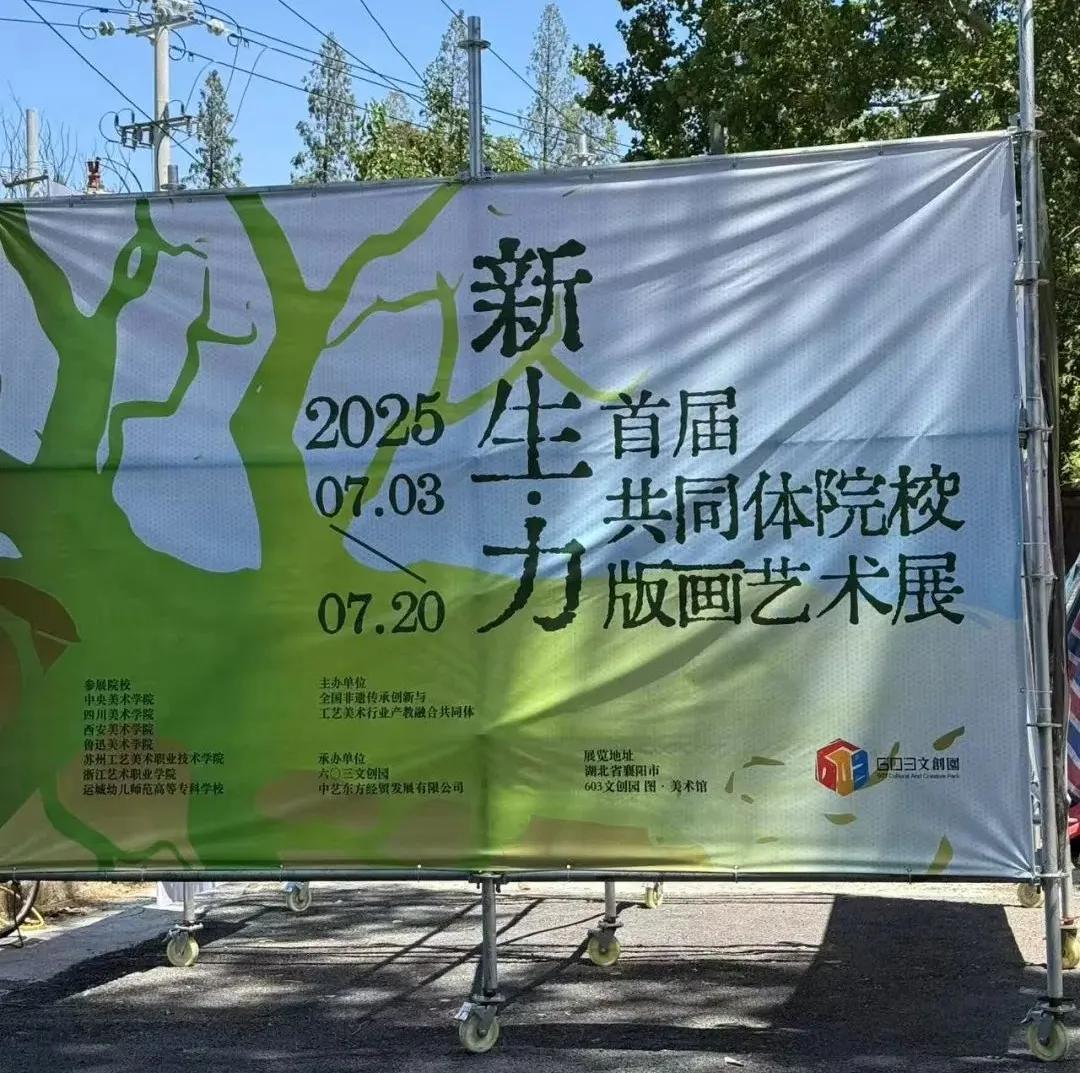 w66新闻