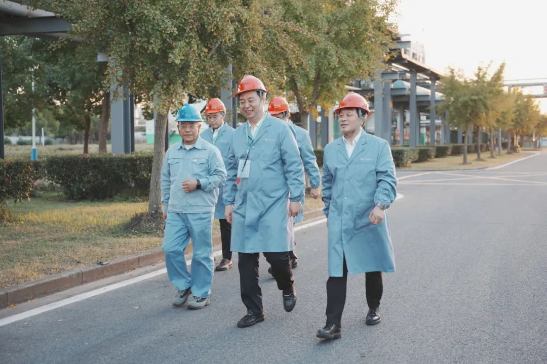 w66新闻